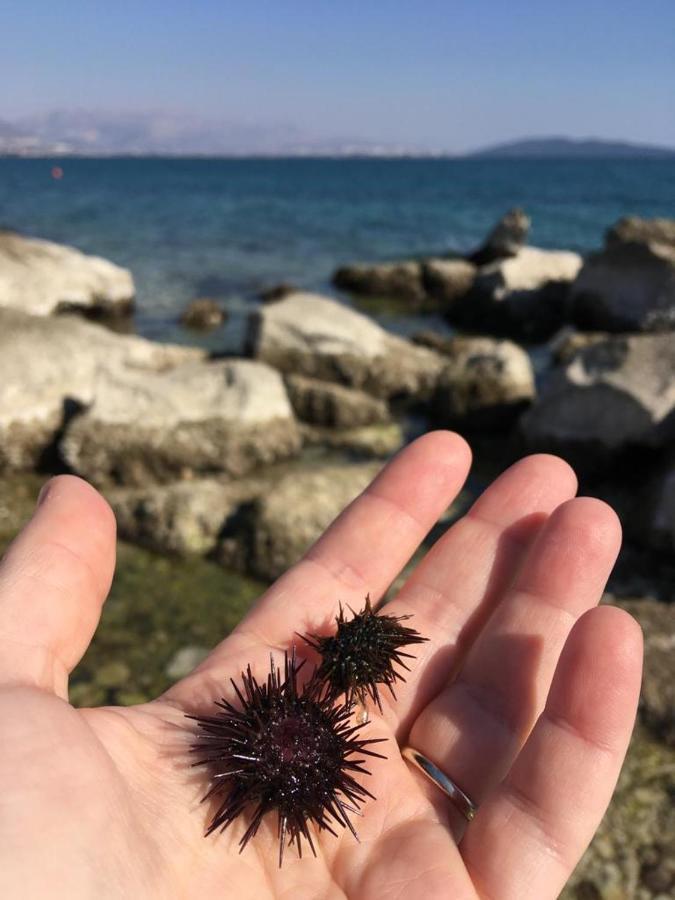 شقة Barba Luka, Near Beach, Beautiful Views Kaštela المظهر الخارجي الصورة